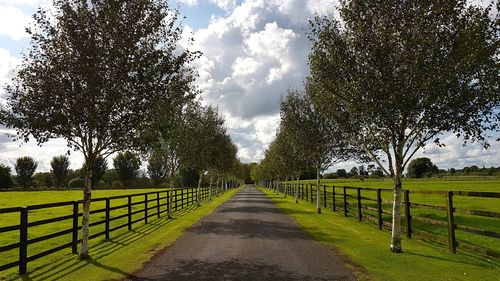 Road amidst trees against sky