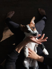 Midsection of woman with dog