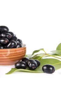 Close-up of black fruits against white background