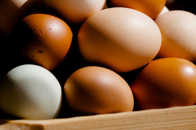 Brown tones eggs on wooden plate in strong sunlight opaque full frame background