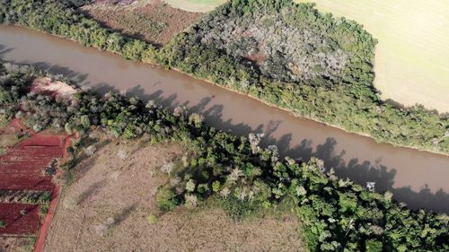 High angle view of trees growing on field