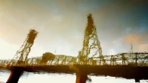Low angle view of trees against sky