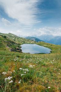 Scenic view of landscape against sky