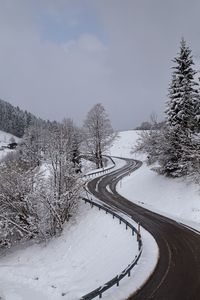 Snow covered plants by road against sky during winter