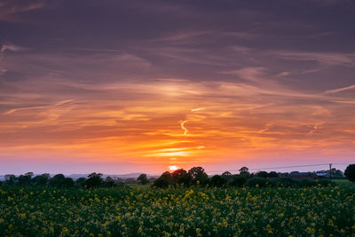 Scenic view of field against sky during sunset