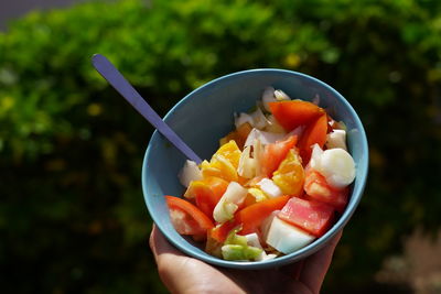 Close-up of hand holding fruit salad in bowl