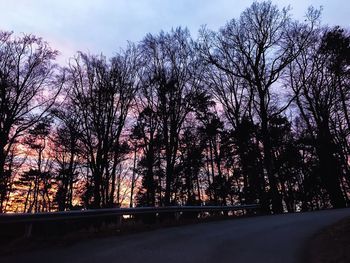 Low angle view of trees against sky