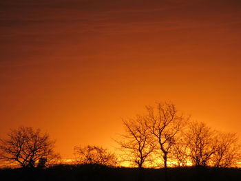 Silhouette bare trees on landscape against orange sky