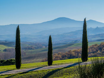 Scenic view of agricultural field against sky