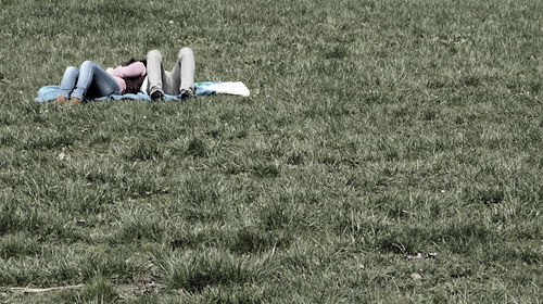 People lying on grass in park