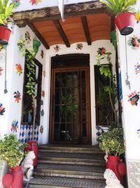 Potted plants outside building