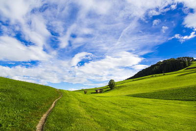 Scenic view of green landscape against blue sky