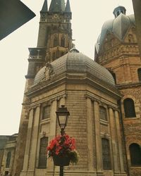 Low angle view of flowers in building