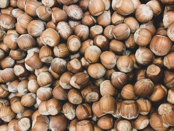 Full frame picture of fresh organic hazelnuts. food background. cob nuts