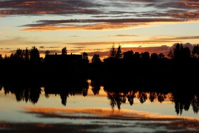 Silhouette of trees at sunset