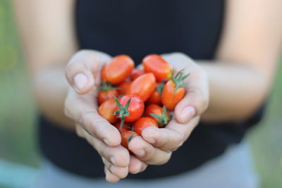 Close-up of hand holding tomatoes