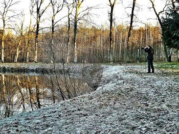 Full frame shot of trees against sky