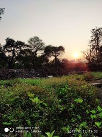 Scenic view of field against sky during sunset