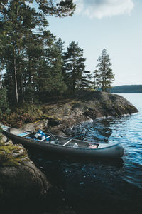 Boats on rock in forest against sky