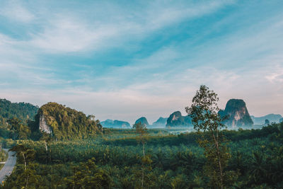 Scenic view of landscape against sky