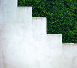 Close-up of white wall against plants