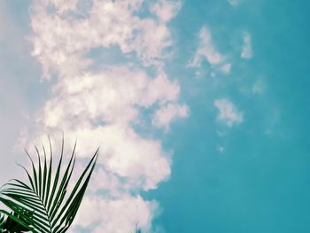 Low angle view of trees against blue sky