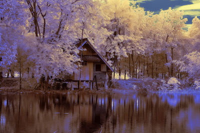 House by lake against trees and plants