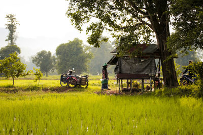 Tractor on field against sky