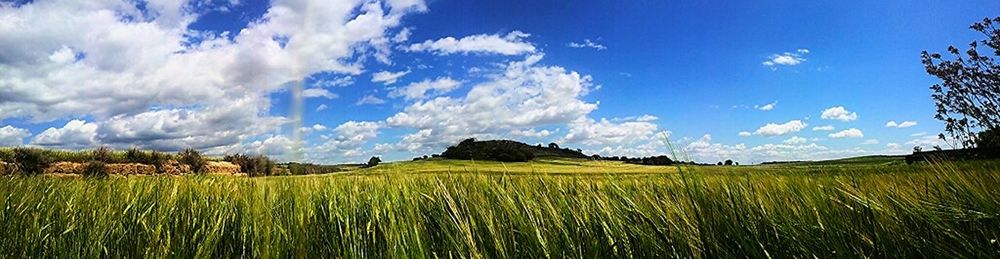 Scenic view of field against cloudy sky