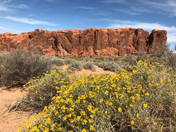 Scenic view of rock formations on landscape against sky