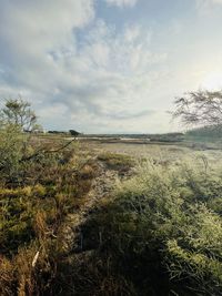 Scenic view of land against sky