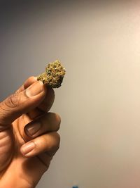 Cropped hand of person holding marijuana against wall