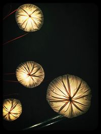 Low angle view of illuminated lights at night