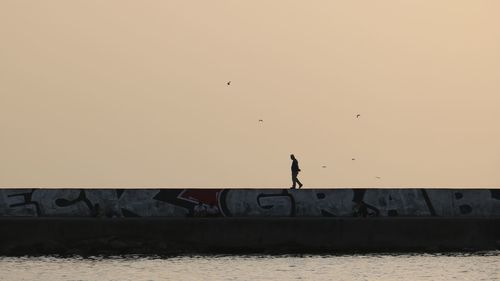 Silhouette birds on sea against sky