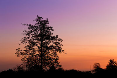 Low angle view of silhouette trees against sky during sunset