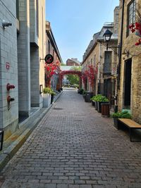 Empty alley amidst buildings in city