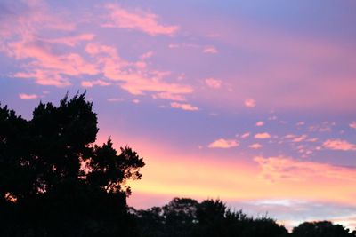 Low angle view of silhouette trees against scenic sky