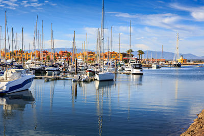 Sailboats moored in harbor