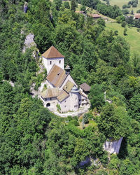 High angle view of trees and buildings