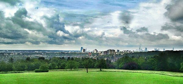 Trees on field against cloudy sky