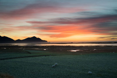 Scenic view of sea at sunset