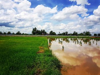 Scenic view of field against sky