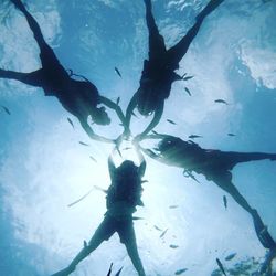 Directly above shot of fishes swimming in sea