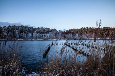 Scenic view of lake against clear sky