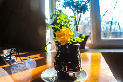 Close-up of flower vase on table at home