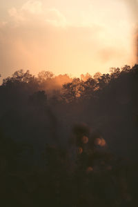 Silhouette trees against sky during sunset