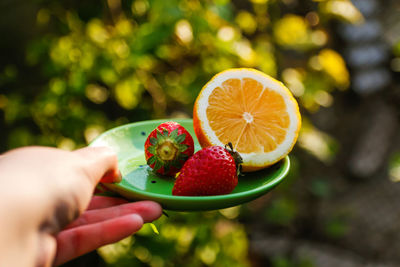 Close-up of hand holding strawberry