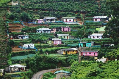 High angle view of houses and trees