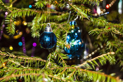 Close-up of christmas decoration hanging on tree