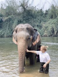 Full length of elephant standing in river